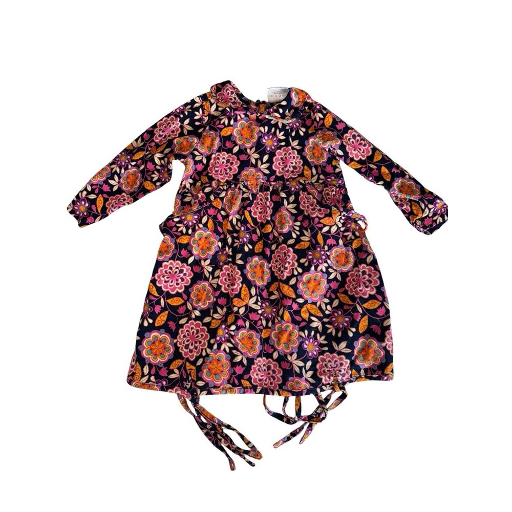 Hanna Andersson Pink Blue Floral Long Sleeve Corduroy Collared Dress Size 90/3T